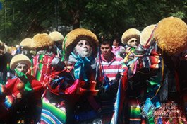 IMG_2565